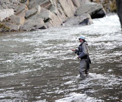 La alegría en la pesca va por ríos 